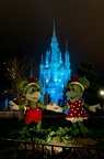 WDW2011-118