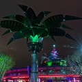 WDW2011-122