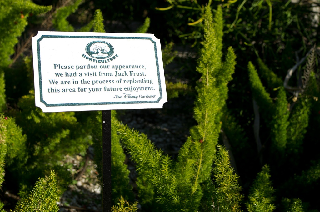 WDW2011-177.jpg