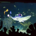 WDW2011-180