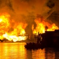 WDW2011-202