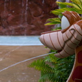WDW2011-242