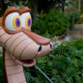 WDW2011-244.jpg