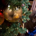 WDW2011-282