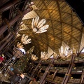 WDW2011-284