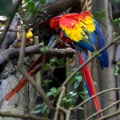 WDW2011-290