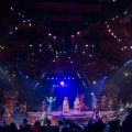 WDW2011-299