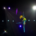 WDW2011-300