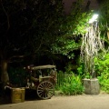 WDW2011-316