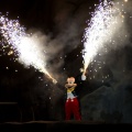 WDW2011-336