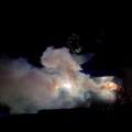 WDW2011-342