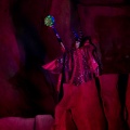 WDW2011-343