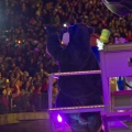 WDW2011-347