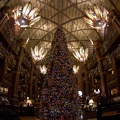 WDW2011-350