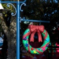 WDW2011-363