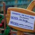 WDW2011-373