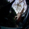 WDW2011-387