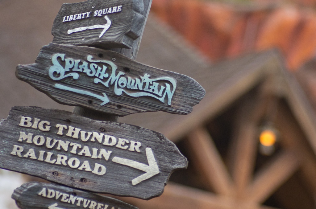 WDW2011-393.jpg
