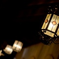 WDW2011-409