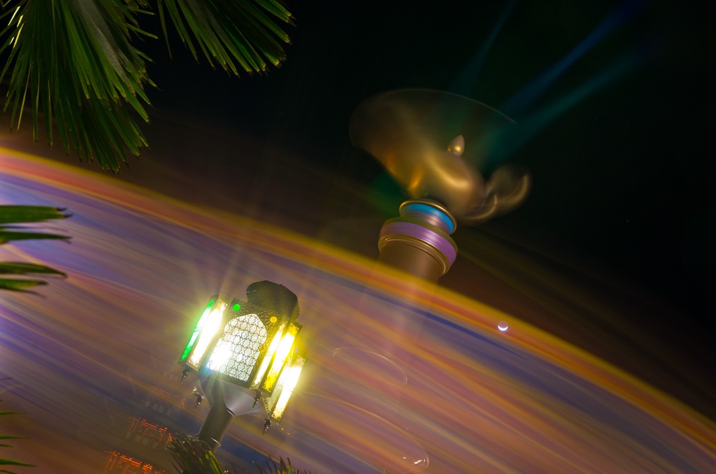 WDW2011-413.jpg