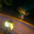 WDW2011-413