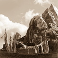 WDW2011-427