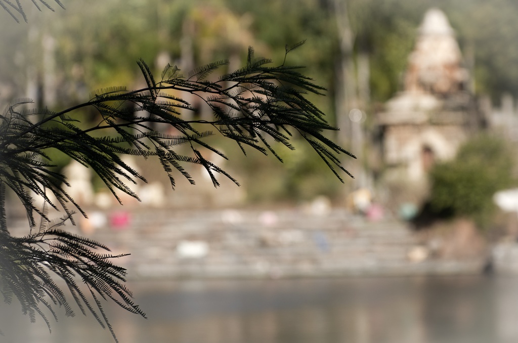 WDW2011-451.jpg