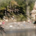 WDW2011-451