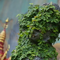 WDW2011-463
