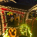 WDW2011-468