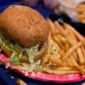 WDW2011-478