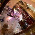 WDW2011-480