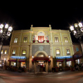 WDW2011-498