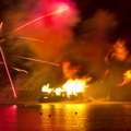 WDW2011-501