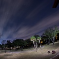 WDW2011-507