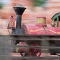 WDW2011-513