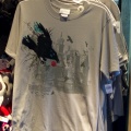 WDW2011-517