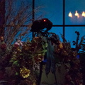 WDW2011-518