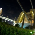 WDW2011-529