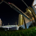 WDW2011-530