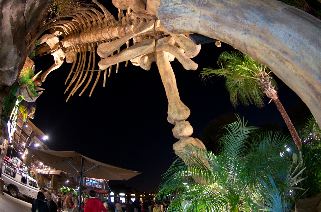 WDW2011-532.jpg