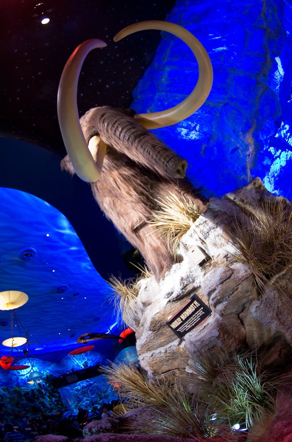 WDW2011-535.jpg