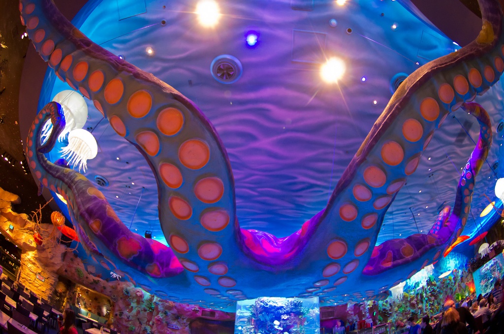 WDW2011-537.jpg