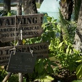 WDW2011-564