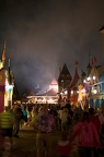 WDW201001-021