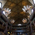 WDW201001-052