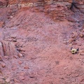WDW201001-085