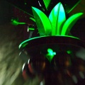WDW201001-099