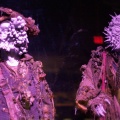 WDW201001-123