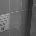 WDW201001-181